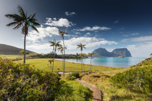 Arajilla Retreat Lord Howe Island The Island