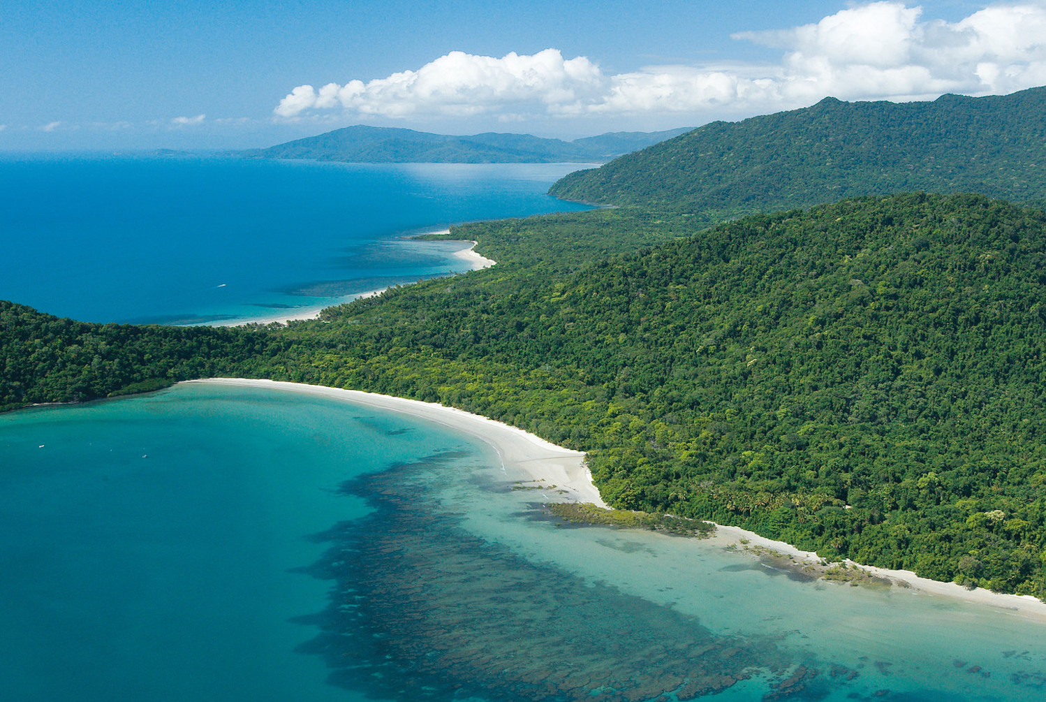 Where the Daintree rainforest meets the Coral Sea