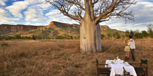 Baobab dining at El Questro Homestead in The Kimberley