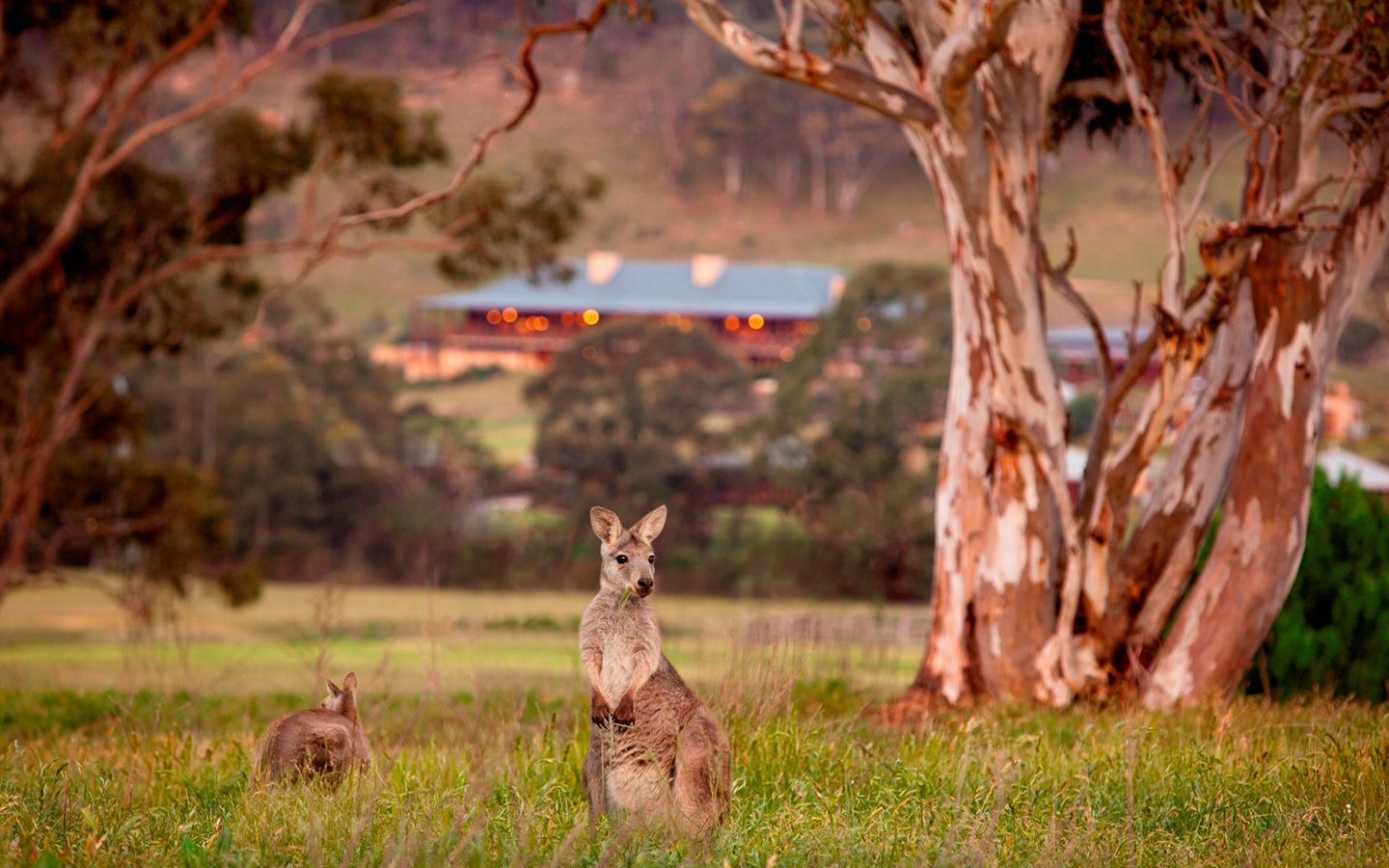 Experience bush luxury and outback experiences in Australia at One and Only Wolgan Valley
