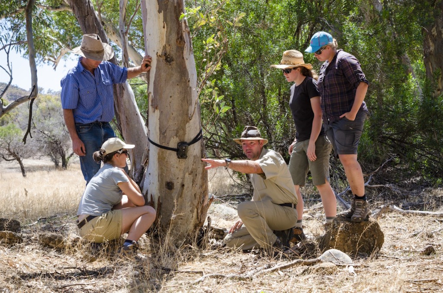 One of the unique and exclusive Australian experiences is spending time with a conservation group at Arkaba, Flinders Ranges 