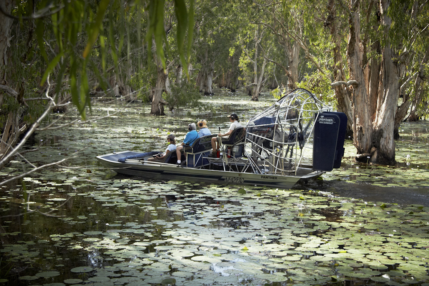 One of the unique and exclusive Australian experiences is Bamurru Plains a journey through a Melaleuca forest at Bamurru Plains