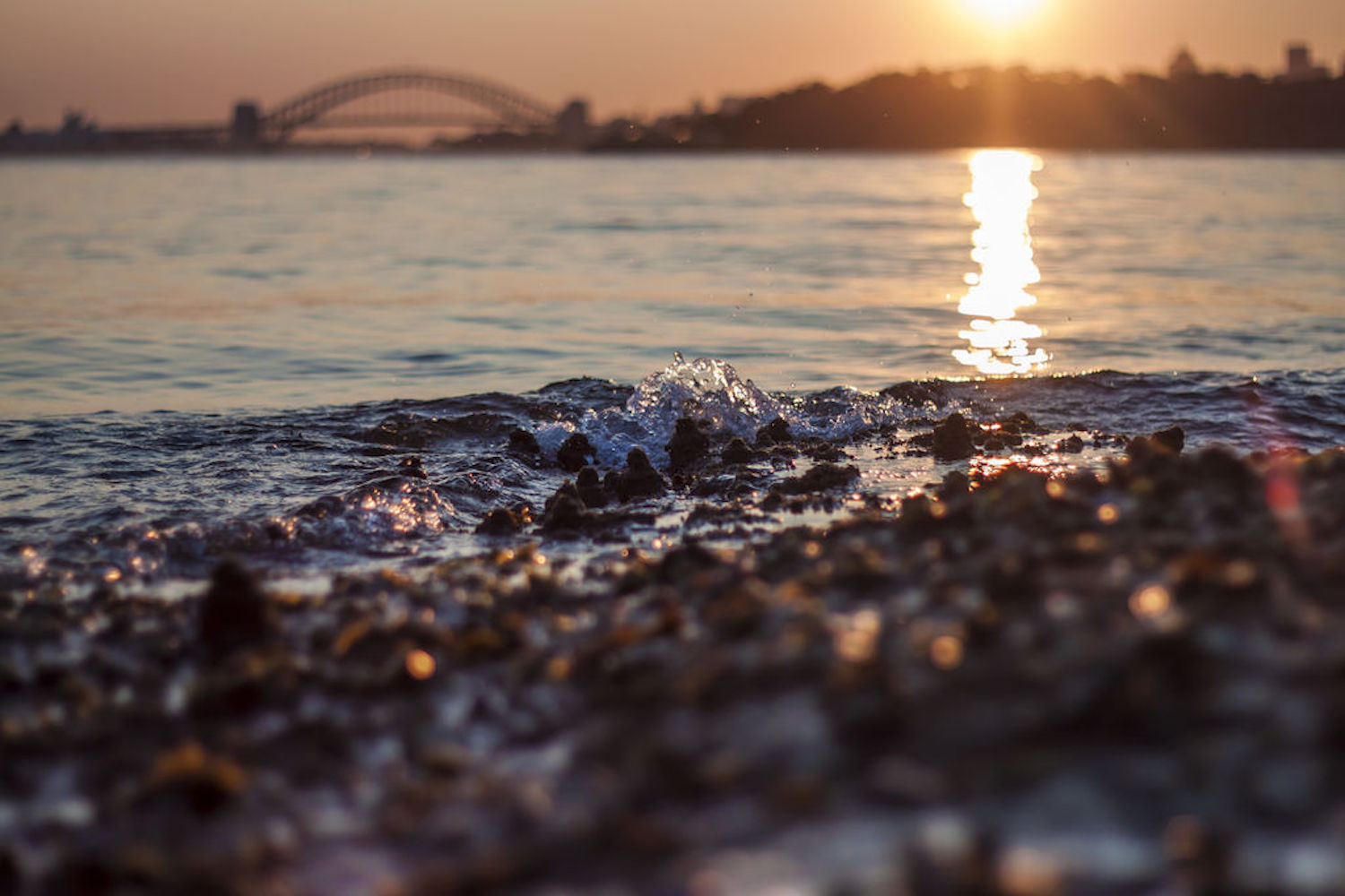 Sunset over Sydney Harbour Bridge from Milk beach, Vaucluse Image credit: Elisa Bohle