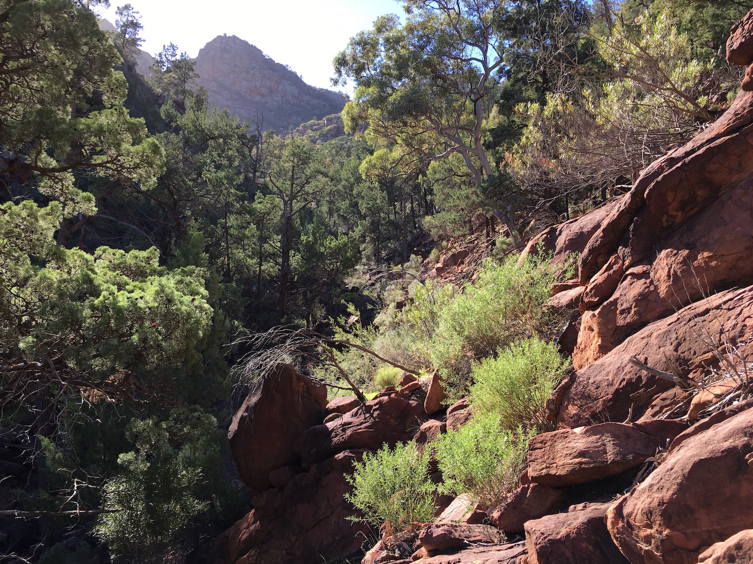 Arkaba is not what you would expect in the outback