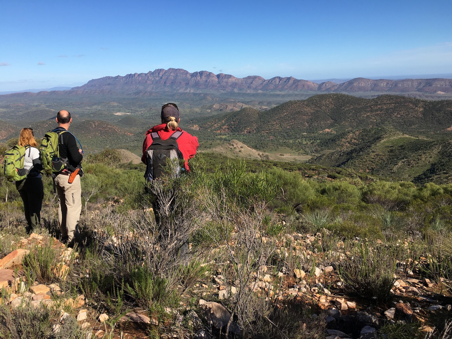 Arkaba is huge - stretching from Wilpena Pound to the Elders