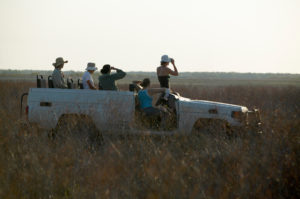 Bamurru Plains has some of the best guides in Australia - image: Peter Eve