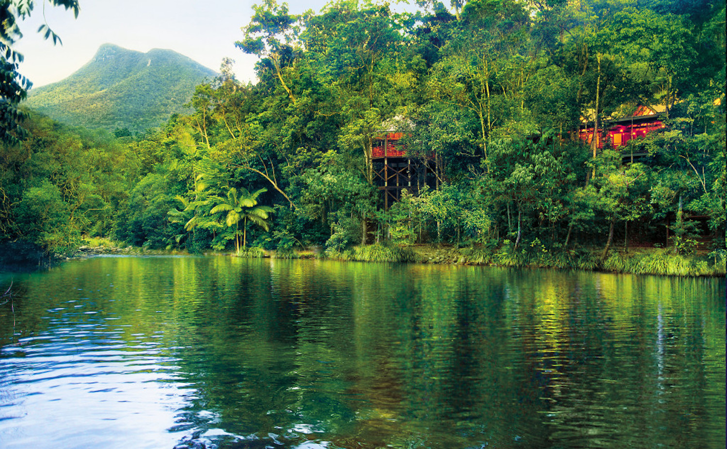 Treetop accommodation at Silky Oaks Lodge in the Daintree