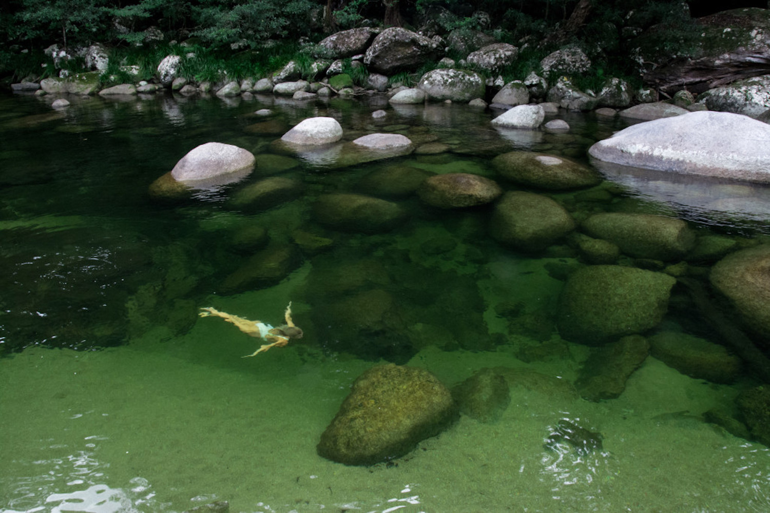 Clear waters of the Mossman Gorge at Silky Oaks Lodge 