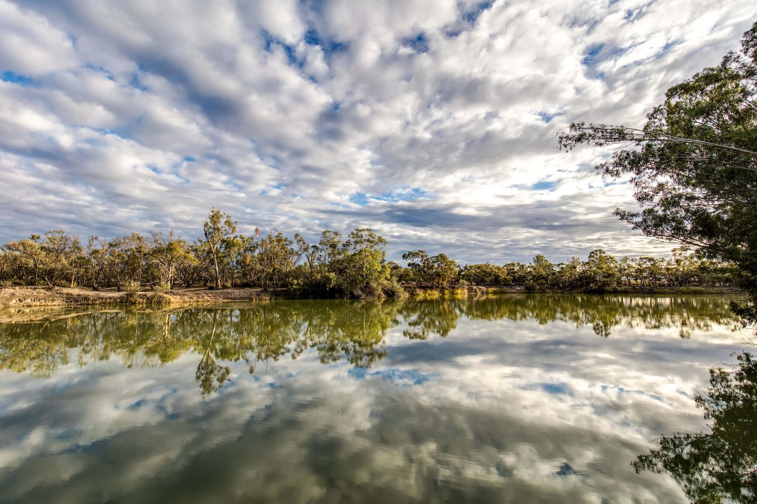 The Murray River walk