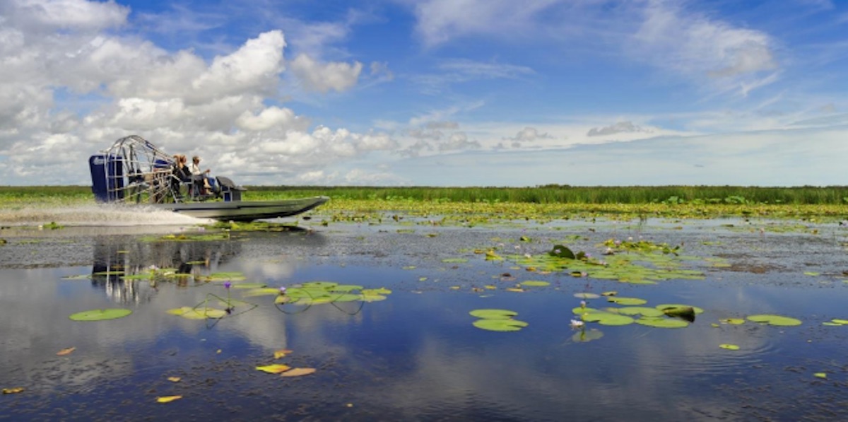 Airboat at Bamurru Plains