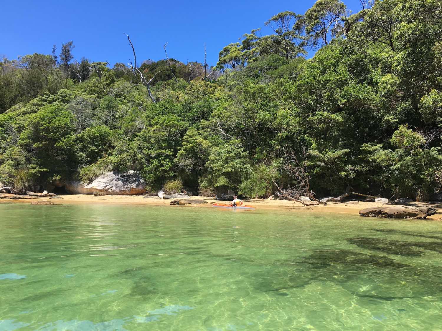 Swim at beautiful harbour beaches