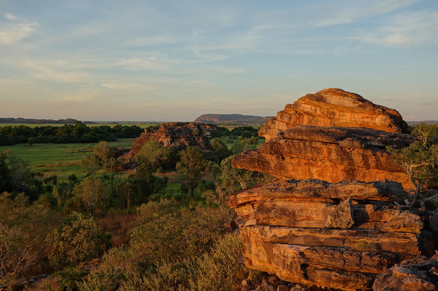 Kakadu - Image credit: Peter Boer