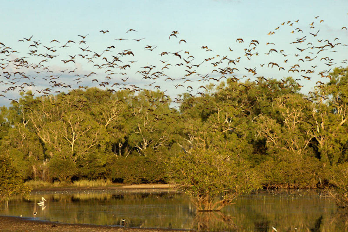 Bullo River Station