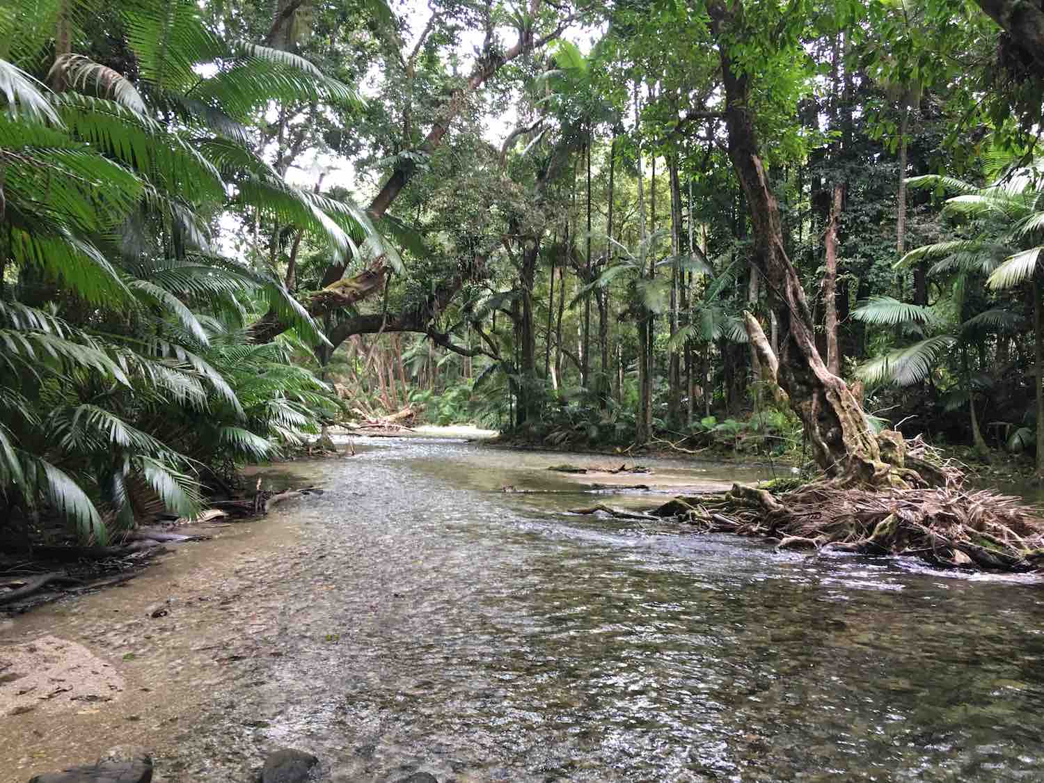 River Drift Snorkelling