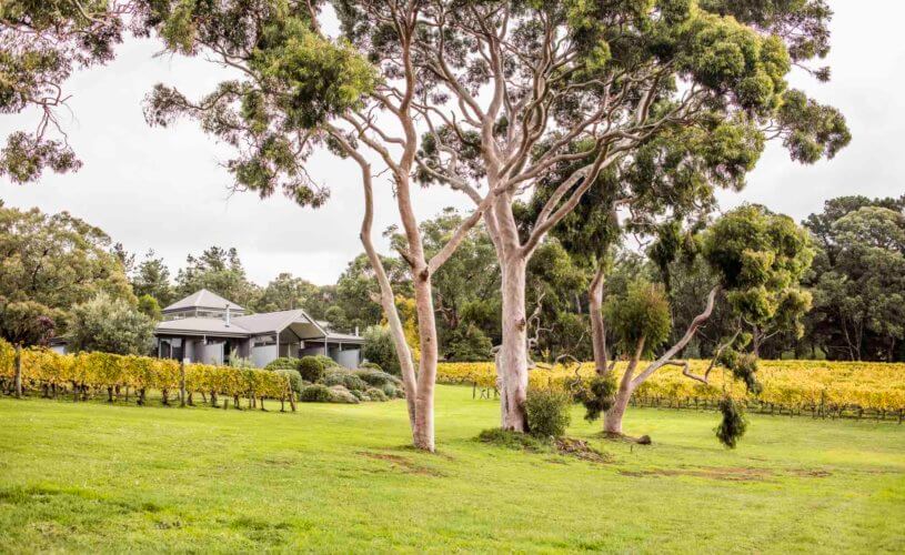 Polperro Villas at Red Hill – A boutique luxury accommodation on the Mornington Peninsula