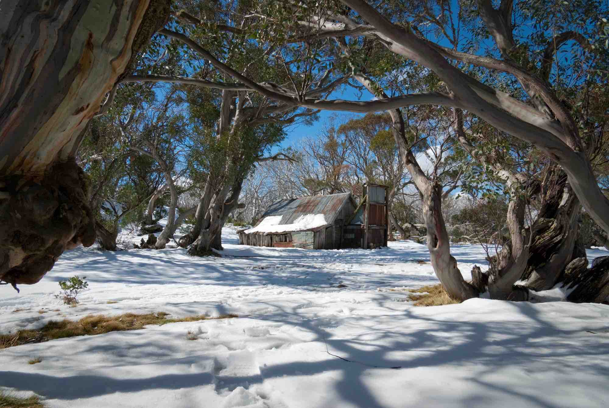 Snow in Australia at an old settler hut on Mt Bogong