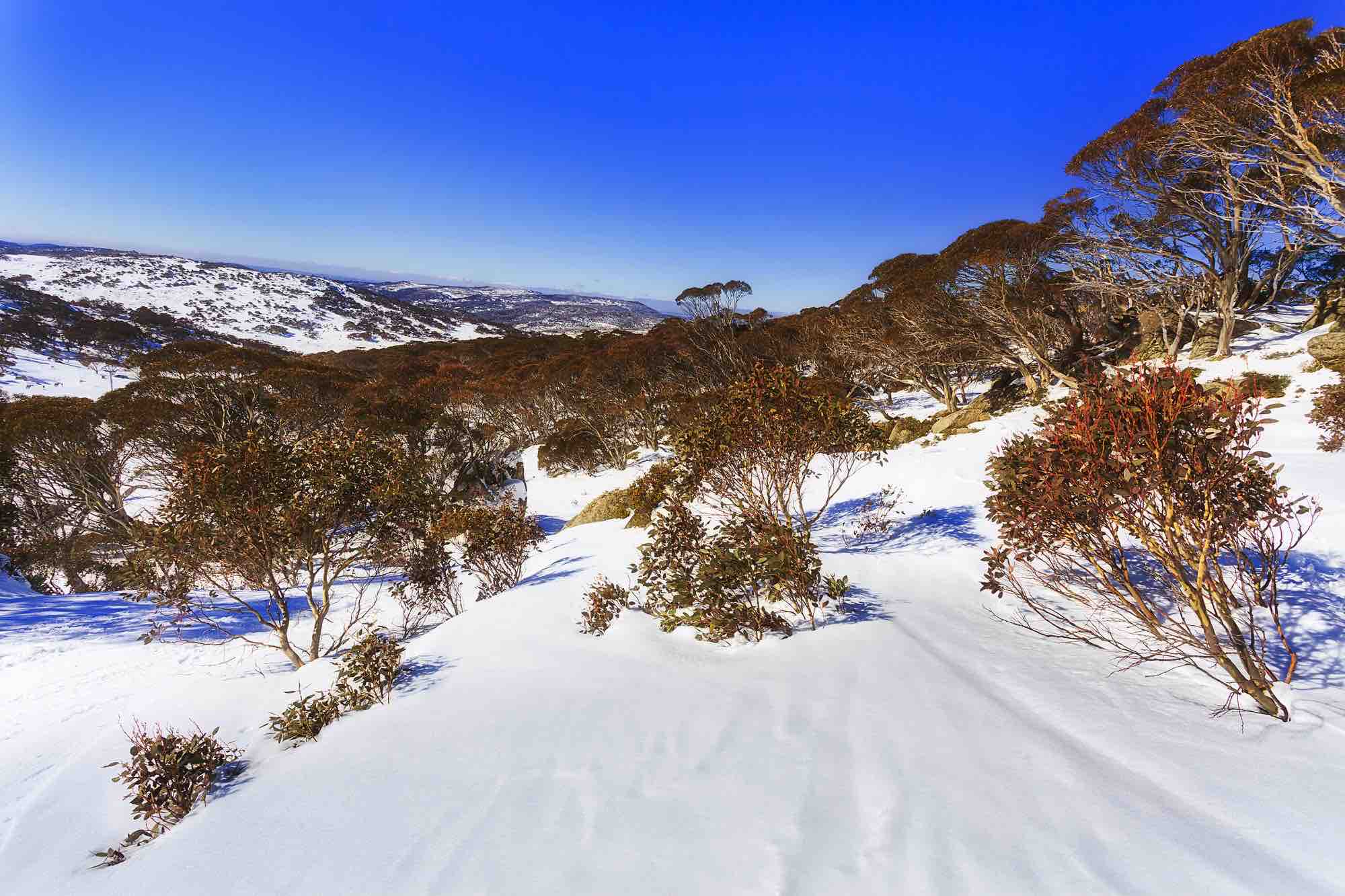 When Is Winter In Australia Australian - Cher Melany