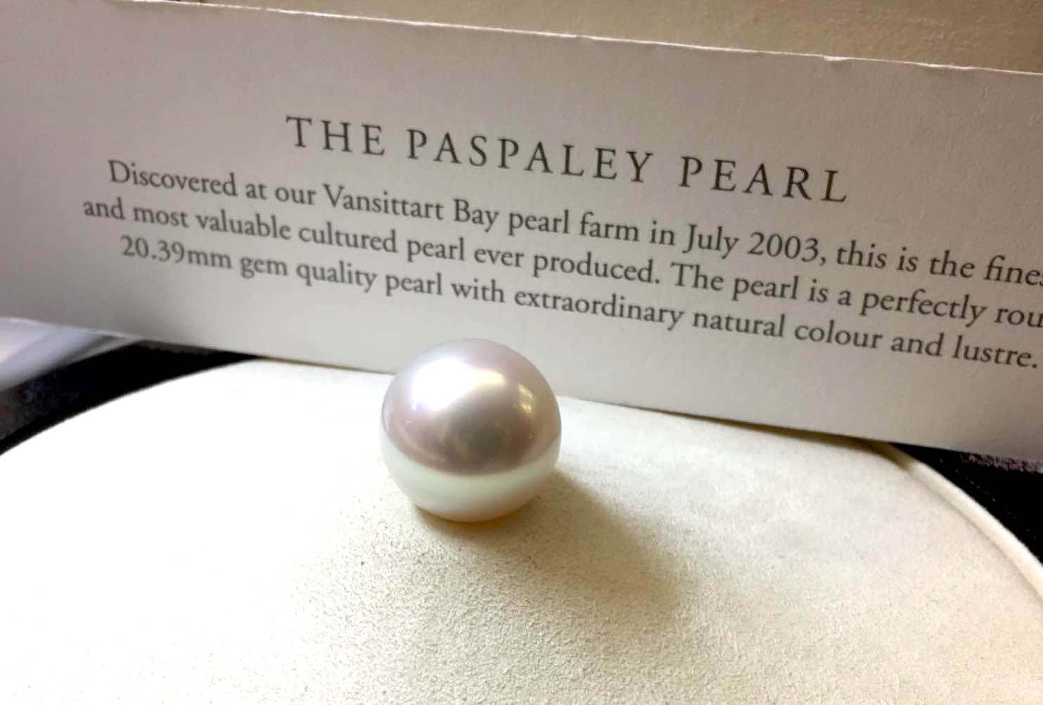 Paspaley pearls discount darwin