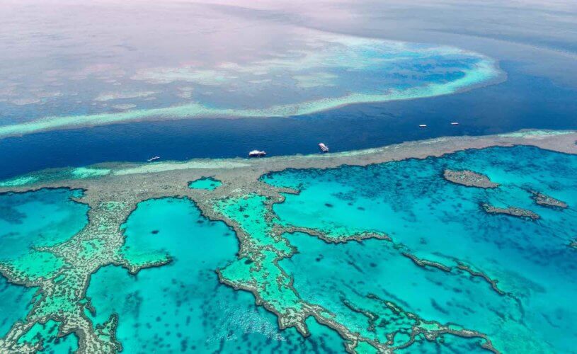 BEHIND THE SCENES WITH RESEARCHERS ON THE GREAT BARRIER REEF