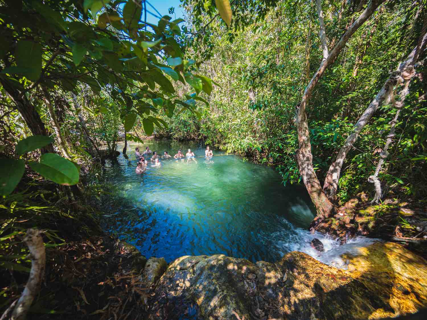 tours to tiwi islands northern territory