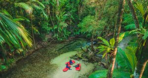 Back Country Bliss - River Drift Snorkelling in Mossman River