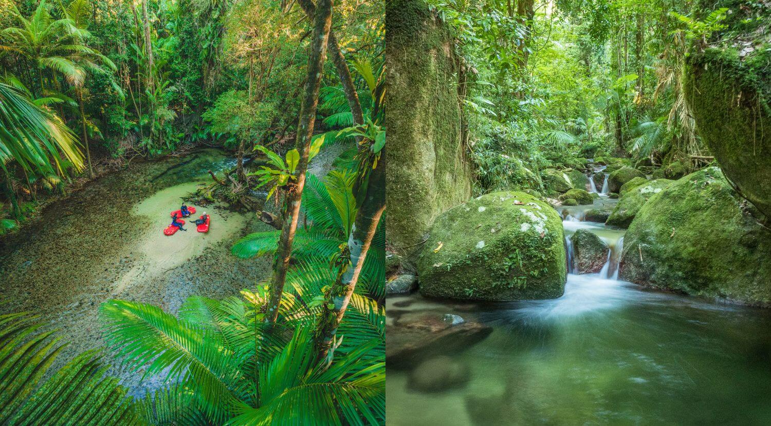 Daintree Rainforest and Mossman Gorge