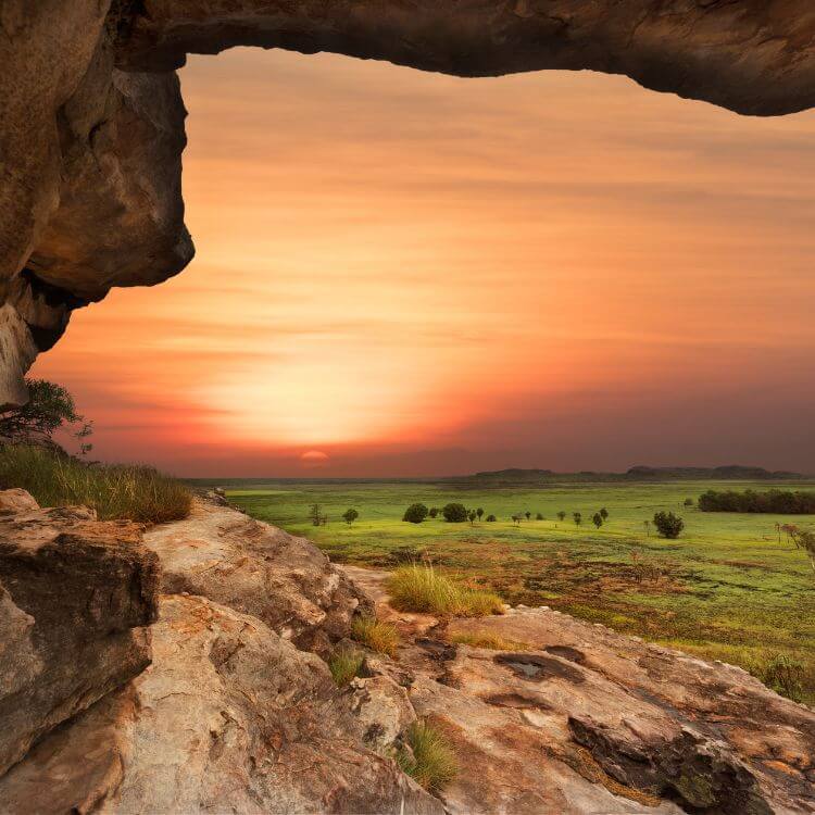 kakadu