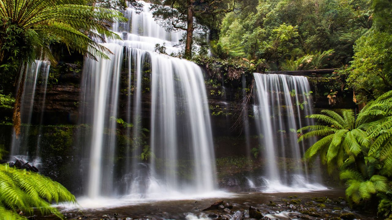 Hightlights-by-state-tasmanian-national-parks-trade-site-1280x720