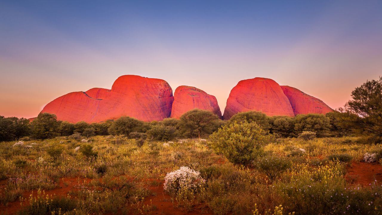 NT-Kata-tjuta-trade-site-1280x720