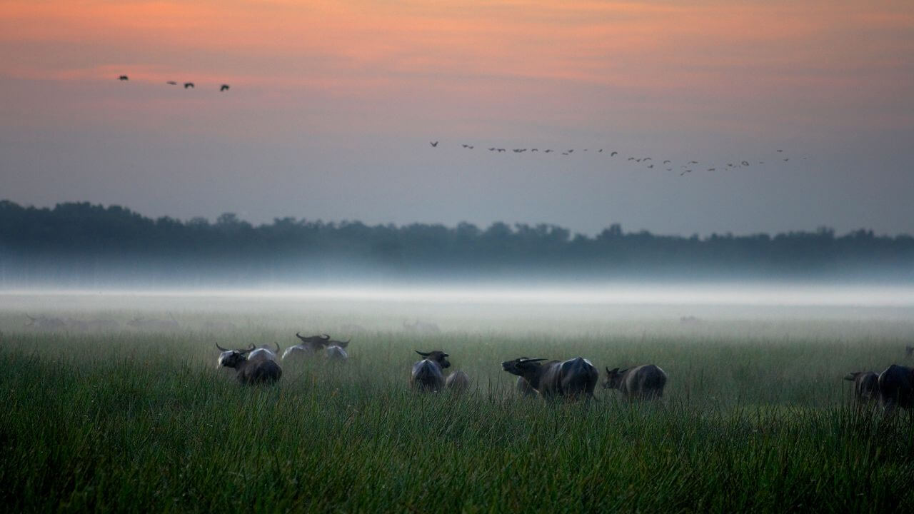 NT-bamurru-plains-trade-site-1280x720