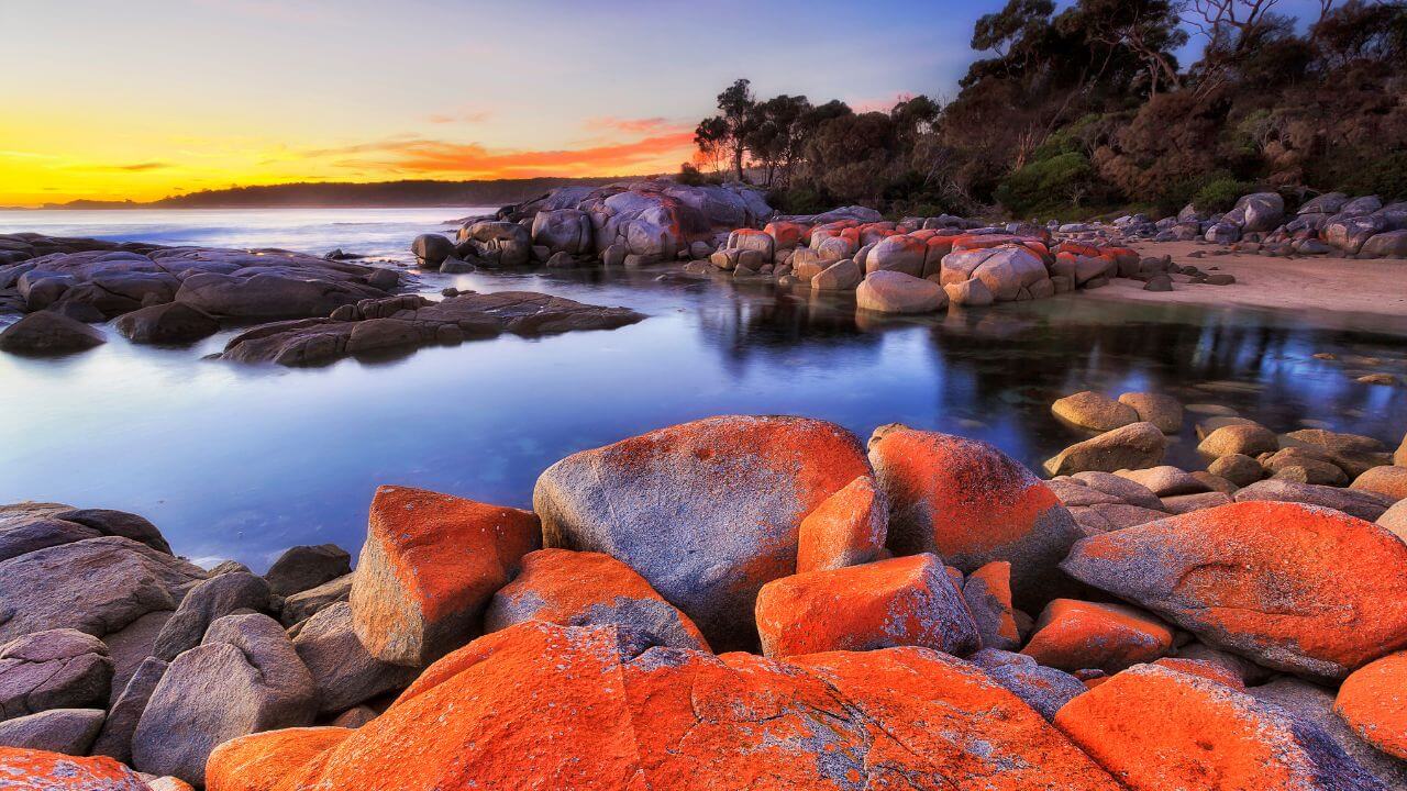 Tasmania-Bay-of-Fires-trade-site-1280x720