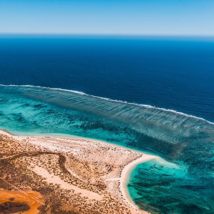 Trade-site-Sample-itinerary-tile-ningaloo-reef-750x750